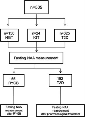 Plasma N-Acetylaspartate Is Related to Age, Obesity, and Glucose Metabolism: Effects of Antidiabetic Treatment and Bariatric Surgery